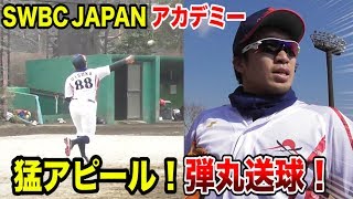 SWBCJAPANアカデミー…鬼練習！ライパチが弾丸送球で猛アピール！