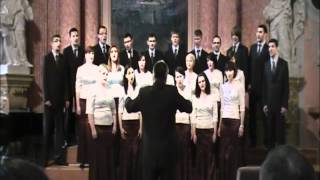 Download Lagu Javier Busto - Ave Verum MP3