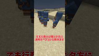【マイクラ】行商人って何者?【ゆっくり実況】