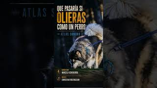El Cerebro del perro automático procesa los olores por capas temperatura - textura - tiempo
