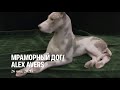 МРАМОРНЫЙ ДОГ ФАРФОР ЛФЗ | ALEX AVERS