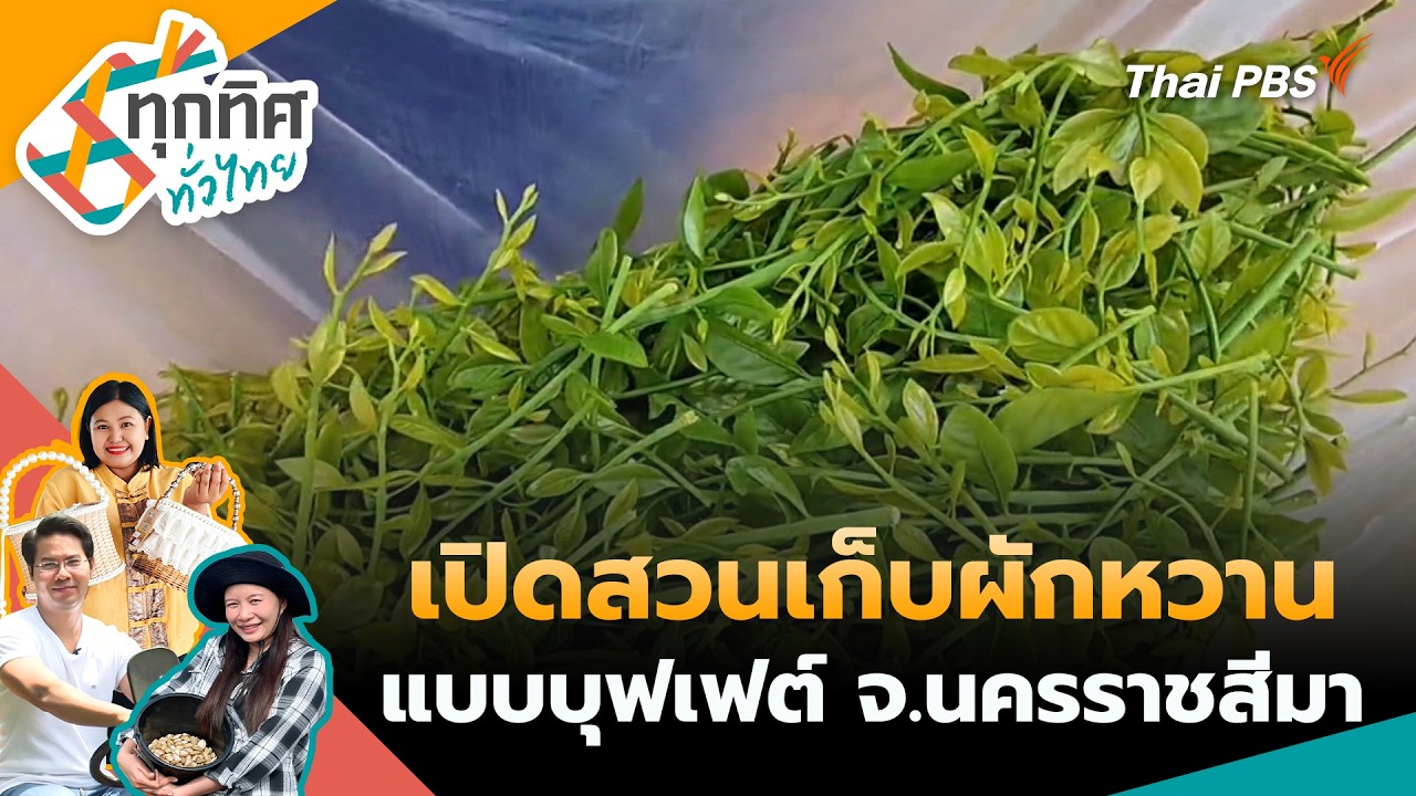 ทุกทิศทั่วไทย | 25 ก.พ. 69