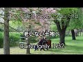 日本語歌詞 Where We'll Never Grow Old (Male Voice) 老いない土地へ CarterFamily1932  アコギ弾き語りJapanese Lyrics