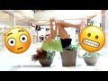 gymnasts play what are the odds?