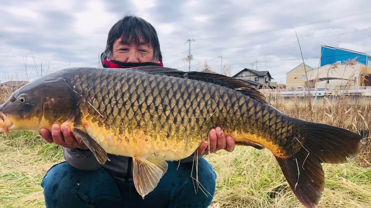 UKダイワ カープフィッシング 鯉釣り 遠投リール リール