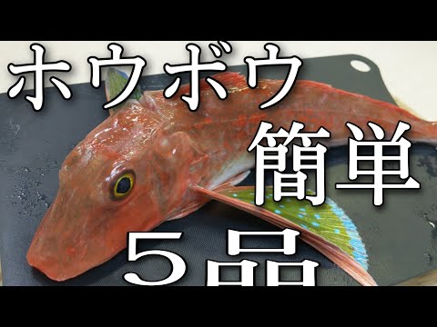 【ホウボウ】を簡単な捌き方で簡単な作り方で簡単な味付けで食べたら美味しいに決まってる！