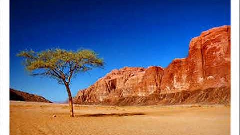 الليلة الثانية للقارئ داود محداب من صلاة التراويح من مسجد عقبة ابن نافع حي الشاطئ* جيجل* رمضان 2018