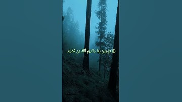 سورة آل عمران ـ الشيخ ياسر الدوسري #القرآن_الكريم #قرآن #قران_كريم #اكسبلور