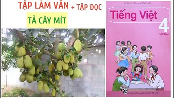 Tập làm văn Lớp 4 | Tả CÂY MÍT| Tả một cây ăn quả mà em thích | Tập Đọc Theo Chữ Viết