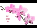 Tara Flowers & Flores - Happy Birthday