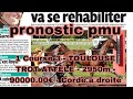 18 juin 2025 pronostic pmu quinte 1 Course 3 - TOULOUSETROT ATTELE - 2950m - 90000.00€