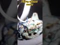fixing spinner motor and timer lead. #spinner .