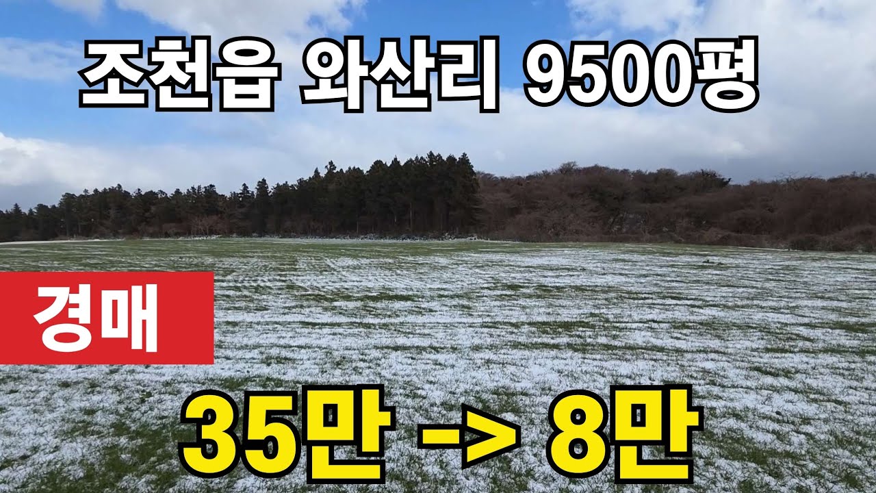 [경매] 제주시 조천읍 와산리 9500평 010 4436 0401 