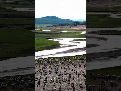 Mongolia