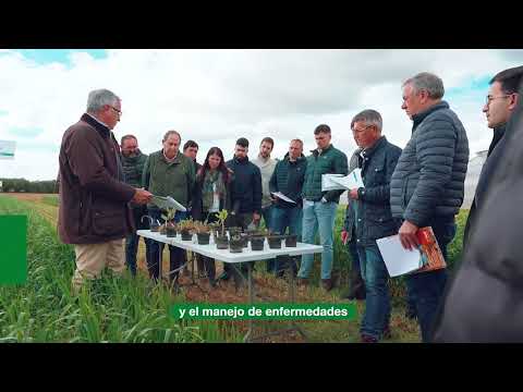 🌾Jornadas Técnicas de Cereales y Colza en Utrera | Innovación, conocimiento y futuro del cereal