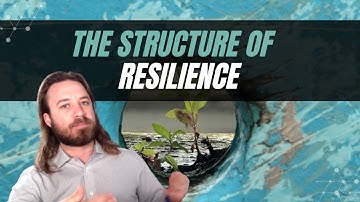 The Structure of Resilience | A Neuro-Semantic NLP Perspective