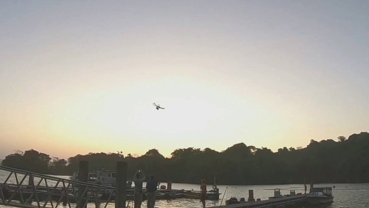 north carolina museum of natural sciences cafe Can Drones Help Count Rainforest Animals?