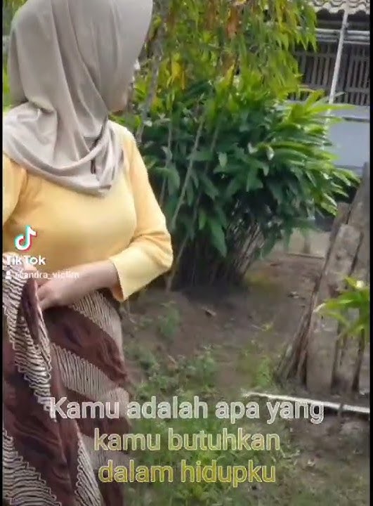 story WA kekinian tentang kehidupan gadis desa