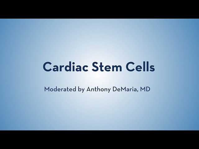 Heart Tube Formation  ditki medical and biological sciences