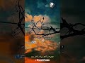 الضحك من صفات الاجساد وليس من الروح الدكتور احمد الوائلي