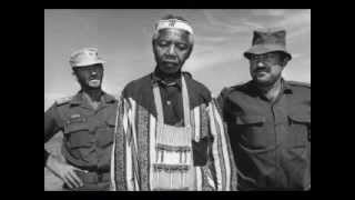 Mandela You're Free (Mark Shine/One People)