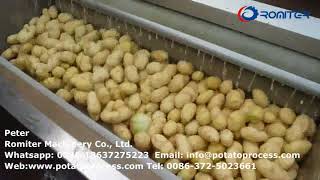 Batch Type Brush Roller Potato Washing Peeling Machine for Sale