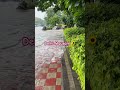 Delhi Mausam Aaj Ka! ☀️🌧️ #shorts