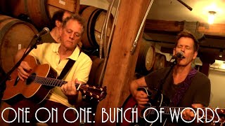 ONE ON ONE: The Bacon Brothers - Bunch Of Words 07/15/14 City Winery New York (Remastered)