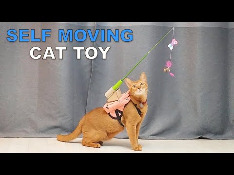 toys cats can play with by themselves