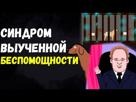 Видео: Что лучше всего описывает выученную беспомощность Селигмана?