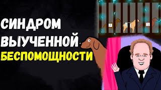 Синдром выученной беспомощности. Эксперимент Мартина Селигмана над собаками