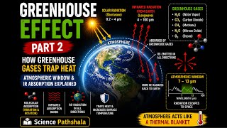 How Greenhouse Gases Trap Heat | Atmospheric Window &amp; IR Absorption | Greenhouse Effect Part 2 🌍
