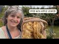 From Tree to Textile: Dyeing Wool with Apple Leaves