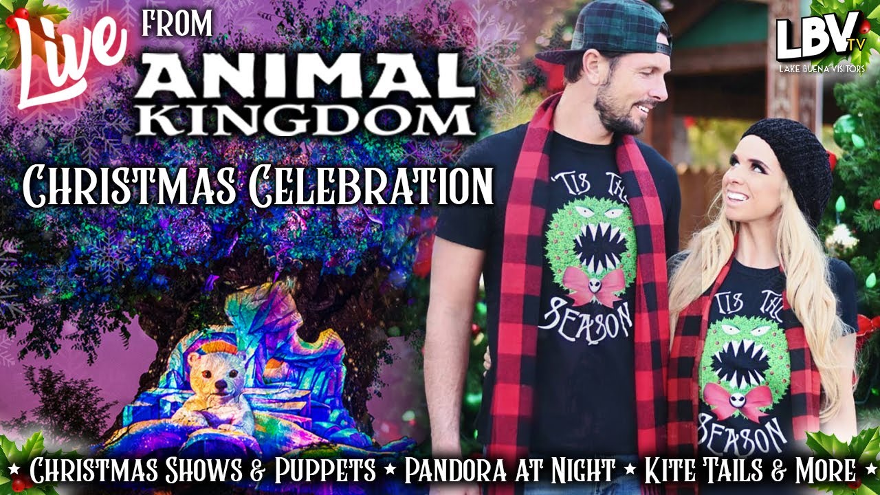 🔴LIVE Disney Christmas Animal Kingdom ! Pandora at Night, New Shows