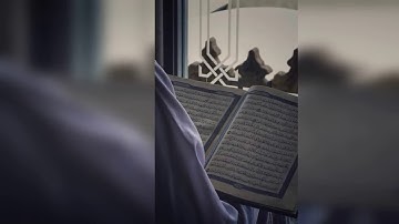 من أجمل وأعجب ما قد تسمع عن القرآن الكريم 🌸 #فريد_الأنصاري