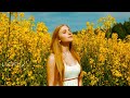 GOLDEN SUMMER - Relaxing Magical Music - Deep Sleep Music - Best Ambient &amp; Instrumental Music.