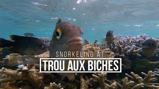Snorkeling at Trou Aux Biches