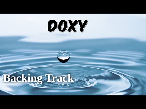 Doxy Backing Track — Classic Swing (Bb) | ACME Play-A-Longs