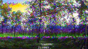 Test run $40 ImmersionRC Vortex 180