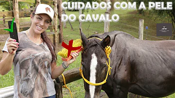 Qual é a cobertura do corpo do cavalo?