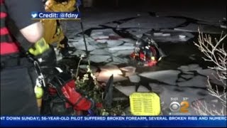 Central Park Pond Rescue