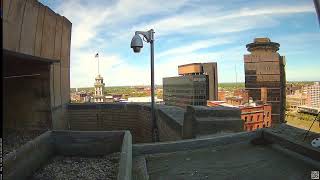 Camera 4 - 05/15/26