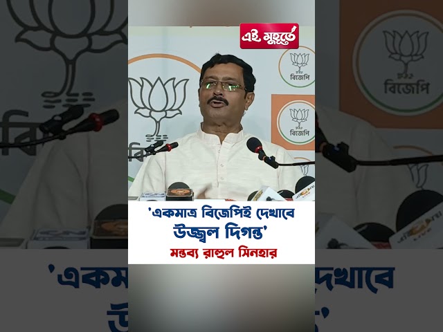'একমাত্র বিজেপিই দেখাবে উজ্জ্বল দিগন্ত' মন্তব্য রাহুল সিনহার