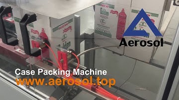 Drop Type Case Packing Machine