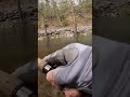 Knapp Creek, WV smallmouth bass #smallmouthbassfishing #streamfishing