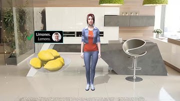 Augmented Reality Language Assistant