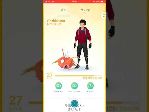 【ポケモンGO】足で稼いだコイキングを進化させる