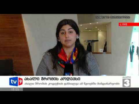 ახალი 3 | ახალი შრომის კოდექსი | 22.01.13