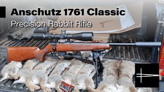 Anschutz 1761 Classic Versus 13 Rabbits