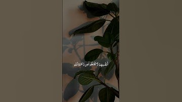 تلاوة خاشعة ♥🌿 #فلسطين #القرآن_الكريم #lovepalestine #الصلاه #quran #تحرير_فلسطين #غزه #الله #قرآن